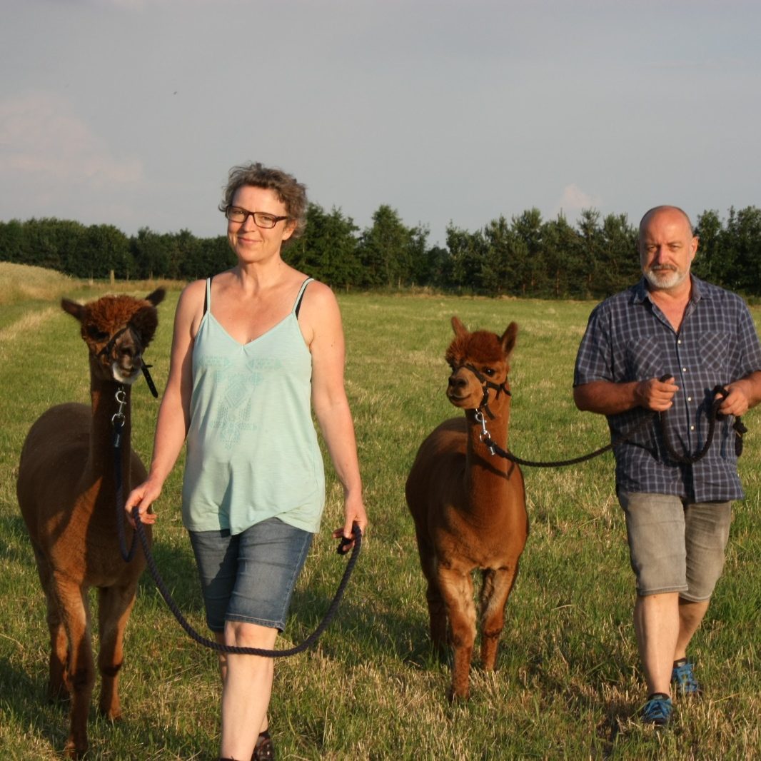 Alpakaführung (Herzfeldhof)